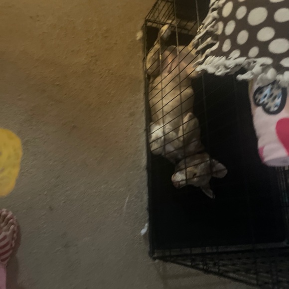 Big & Tall 2xlt Reebok mens polo style - Picture 2 of 6